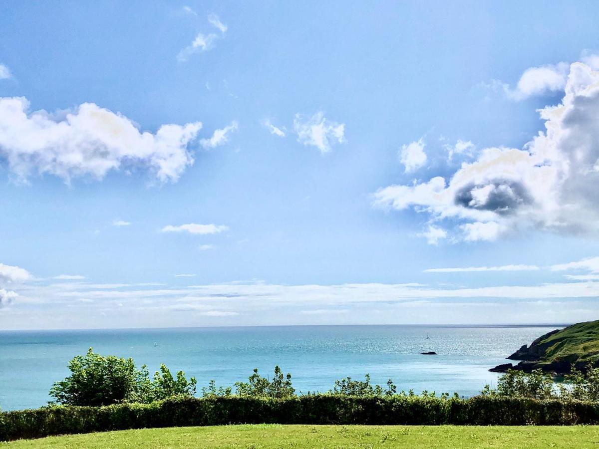 Loxley's Devon Brixham