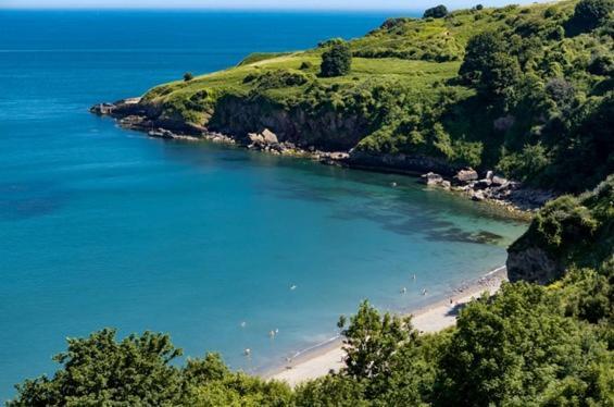 Lodge Loxley's Devon