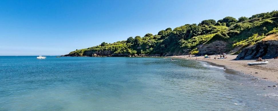 Loxley's Devon